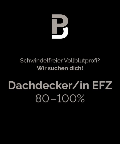 Blogbeitrag_ParpanBedachungen_ag_Stellenanzeige_Dachdeckerin