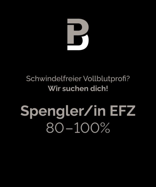 Blogbeitrag_ParpanBedachungen_ag_Stellenanzeige_Spenglerin